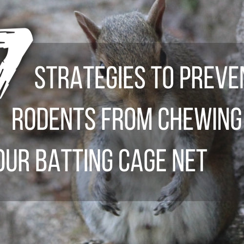 7 Strategies to Prevent Rodents from Chewing Your Batting Cage Net