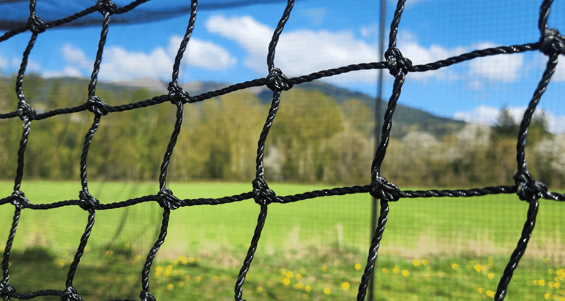 #42 Netting close up view with green grass and hill behind
