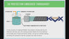 KVX200 BATTING CAGE NET - EXTRUSION PROCESS